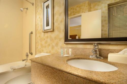 华盛顿DC市区康福特茵酒店与会议中心的一间带水槽、浴缸和镜子的浴室