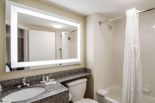 彭萨科拉彭萨科拉康福特茵酒店 - 大学区店的一间带水槽、卫生间和镜子的浴室
