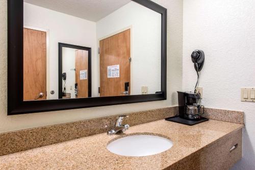 奥兰多Quality Inn & Suites Near the Theme Parks的一间带水槽和大镜子的浴室