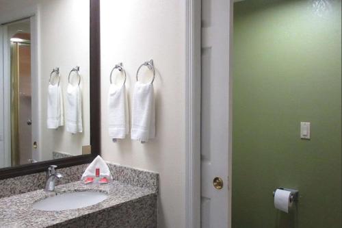 奥尔巴尼Rodeway Inn的浴室配有盥洗盆、镜子和毛巾