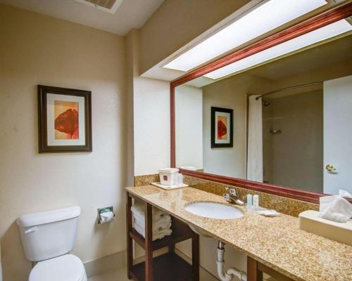 罗维莎Comfort Suites Northside Hospital Gwinnett的一间带水槽、卫生间和镜子的浴室