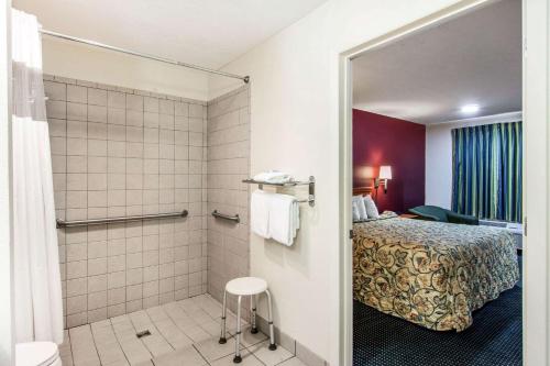拉格兰奇Rodeway Inn的酒店客房配有一张床和淋浴