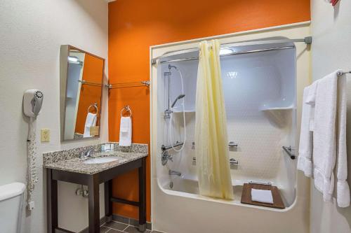 丹维尔丹维尔司丽普酒店及套房的带淋浴和盥洗盆的浴室