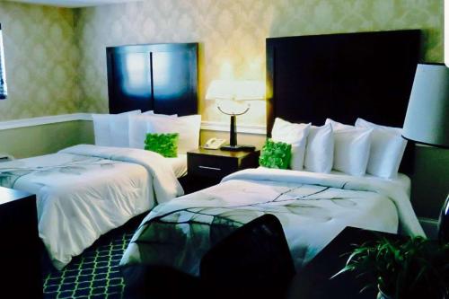 里维尔波士顿洛根机场罗德威酒店的一间酒店客房,房间内设有两张床