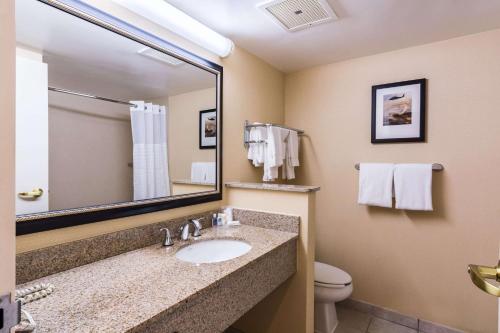 克林顿华盛顿特区安德鲁斯空军基地康福特茵酒店的一间带水槽、卫生间和镜子的浴室