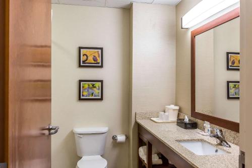 弗雷德里克Comfort Inn的一间带卫生间、水槽和镜子的浴室