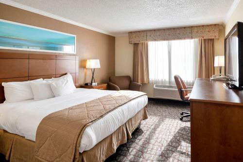 罗缪勒斯底特律都会机场克拉丽奥酒店的配有一张床和一张书桌的酒店客房