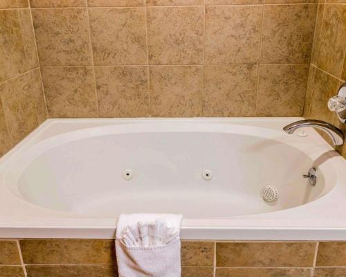 奥本希尔斯奥本山品质旅馆的浴室设有白色浴缸。