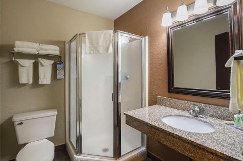 霍兰荷兰品质套房酒店的带淋浴、卫生间和盥洗盆的浴室