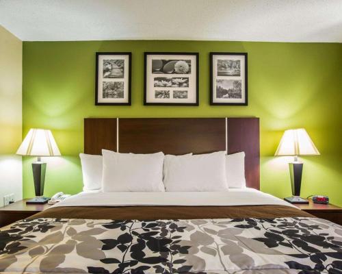 阿什维尔阿什维尔 - 比特摩尔西安睡旅馆的一间卧室配有一张带绿色墙壁的床和两盏灯。