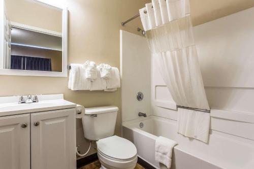 夏洛特Suburban Studios near University of North Carolina-Charlotte的浴室配有卫生间、盥洗盆和淋浴。