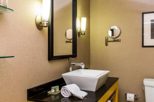 莫里斯维尔罗利-达勒姆机场坎布里亚酒店的一间带水槽和镜子的浴室