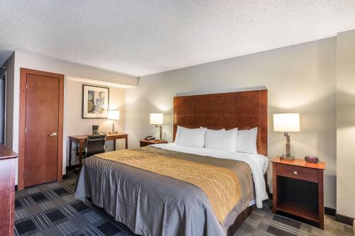 奥马哈Comfort Inn SW Omaha I-80的酒店客房设有一张大床和两盏灯。