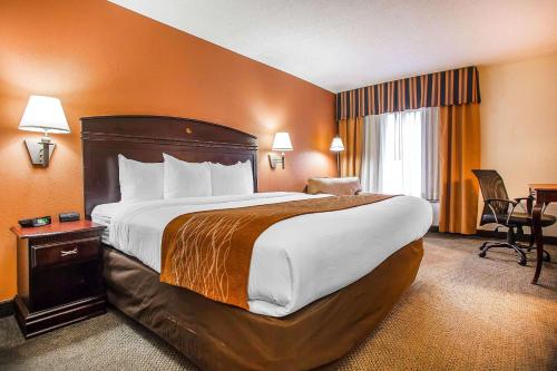 萨默塞特Comfort Inn & Suites Somerset - New Brunswick的一间位于酒店客房内的带大床的卧室