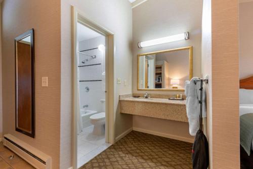 奥格登斯堡The Inn at Gran View Ogdensburg, Ascend Hotel Collection的一间带水槽、卫生间和镜子的浴室