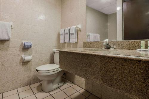 宾厄姆顿Quality Inn & Suites Binghamton Vestal的浴室设有卫生间和带镜子的盥洗盆
