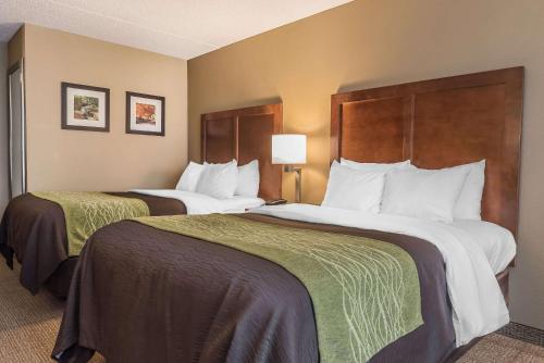 PiquaComfort Inn & Suites Piqua-Near Troy-I75的相册照片