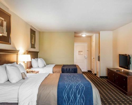 埃尔克城埃尔克城康福特茵套房酒店的酒店客房设有两张床和一台平面电视。