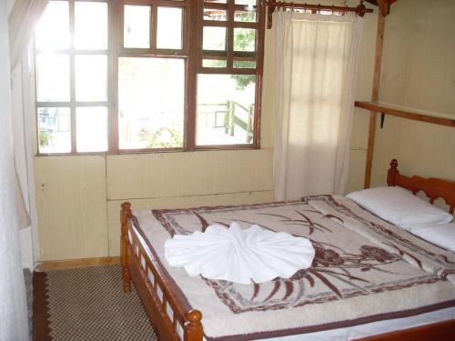 达利安奥德潘锡永酒店的配有2扇窗户的客房内的1张床
