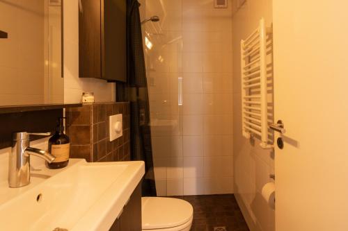 阿克雷里老城现代公寓的一间带水槽、卫生间和淋浴的浴室