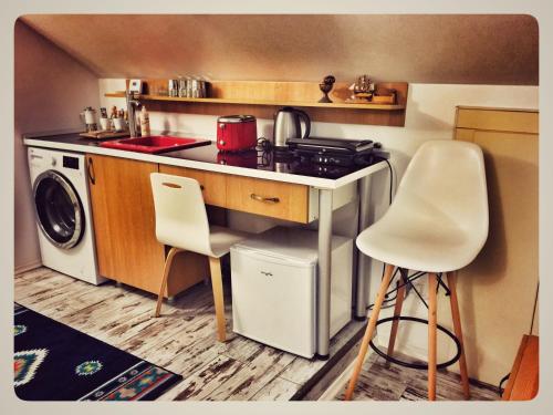 苏恰瓦Eco Travel的一个带水槽和洗衣机的小厨房