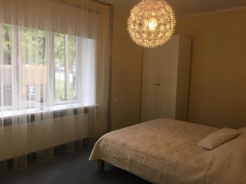 塔林Liivalaia Apartment的一间卧室配有一张床和一个吊灯