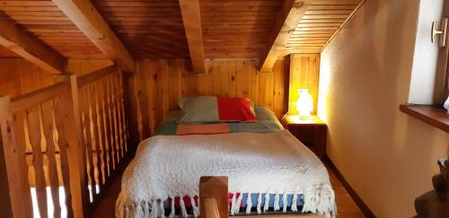 拉马格德莱伊内Casetta di montagna Viuex的小屋内的小卧室,配有床铺