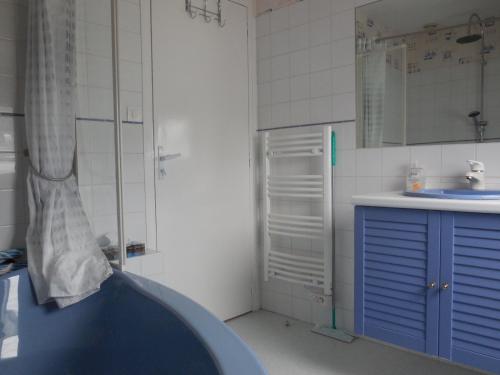 DirinonChambre d'hôtes proche de Brest et Landerneau的带淋浴和蓝色水槽的浴室