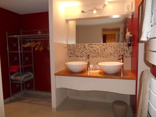 PlazacLe Moulin de Mayence的浴室设有2个水槽和镜子