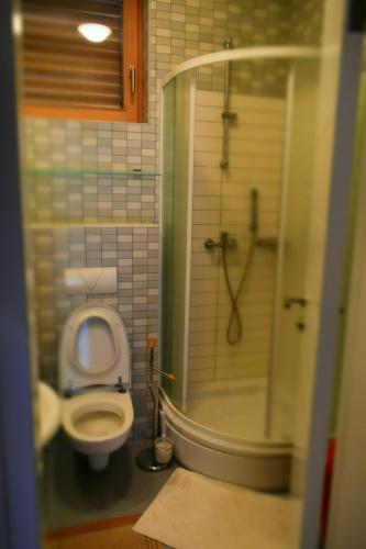 别拉什尼察Vučko Apartment的一间带卫生间和淋浴的小浴室