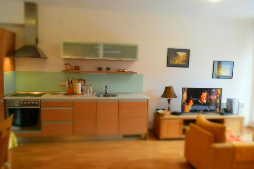 别拉什尼察Vučko Apartment的厨房配有水槽和台面
