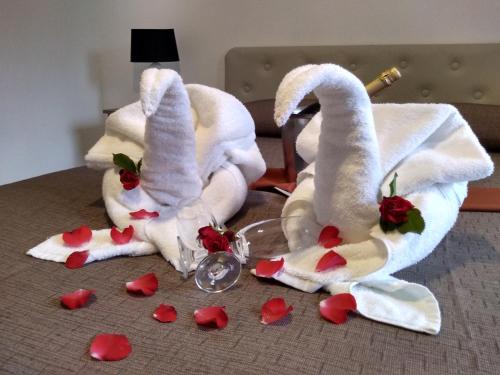 贝尔格拉诺将军镇Rancho Grande Hotel的两个天鹅在地板上用红桃包裹着毛巾