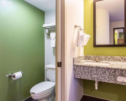 哥伦比亚Sleep Inn Columbia的一间带卫生间、水槽和镜子的浴室