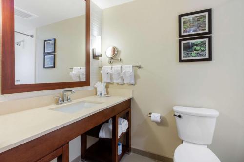 Comfort Inn & Suites At CrossPlex Village的一间浴室