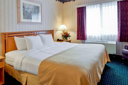 安克雷奇Clarion Suites Anchorage Downtown的一间设有大床和窗户的酒店客房