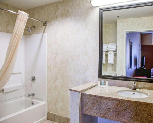 加兹登Comfort Suites Gadsden Attalla的一间带水槽、浴缸和镜子的浴室