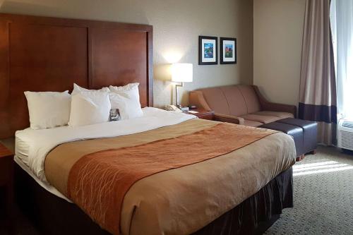 凤凰城51大道西I-10舒适旅馆的酒店客房带一张大床和一把椅子