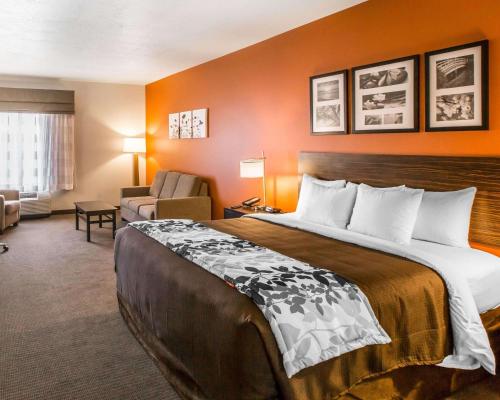 佩吉鲍威尔湖斯利普套房酒店 的酒店客房带一张大床和一把椅子