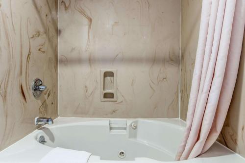 卡斯特罗谷Econo Lodge Castro Valley I-580的一间带浴缸和镜子的浴室