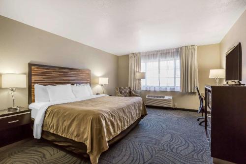 福尔布鲁克福尔布鲁克品质酒店的酒店客房设有床和窗户。