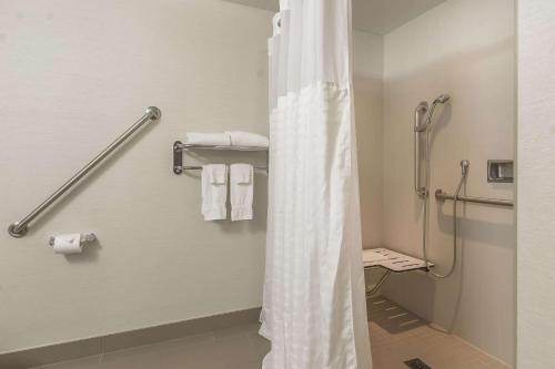 奥沙瓦奥沙瓦康福特茵酒店的一间位于酒店客房内的带浴帘的浴室