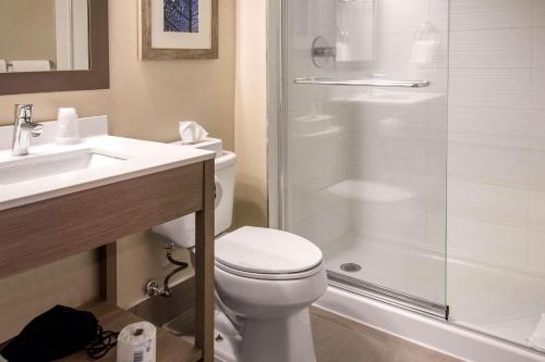 多瓦尔多瓦尔机场康福特茵酒店的浴室配有卫生间、淋浴和盥洗盆。