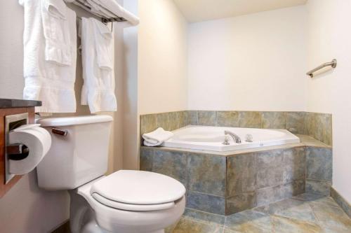 肖维尼根肖维尼根康福特茵套房酒店的一间带卫生间和浴缸的浴室