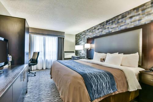 多伦多机场北舒适酒店的酒店客房设有一张大床和一台电视。