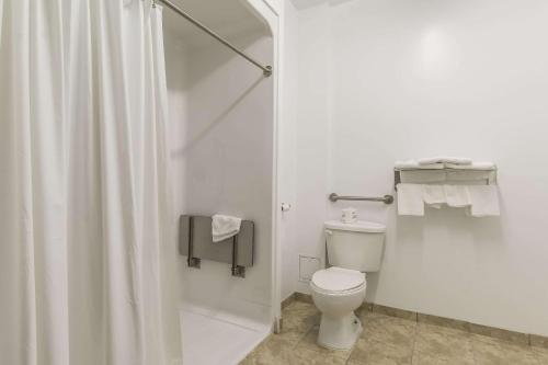 亨茨维尔亨茨维尔生态旅舍的带淋浴和卫生间的白色浴室