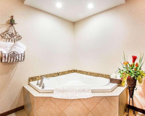 莱斯布里奇莱斯布里奇品质套房酒店的一间带花瓶浴缸的浴室