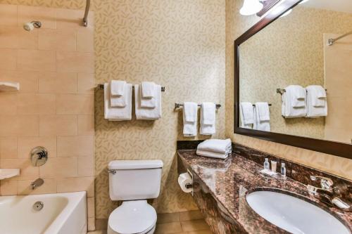 温莎大使大桥康福特茵公寓酒店的一间带水槽、卫生间和镜子的浴室