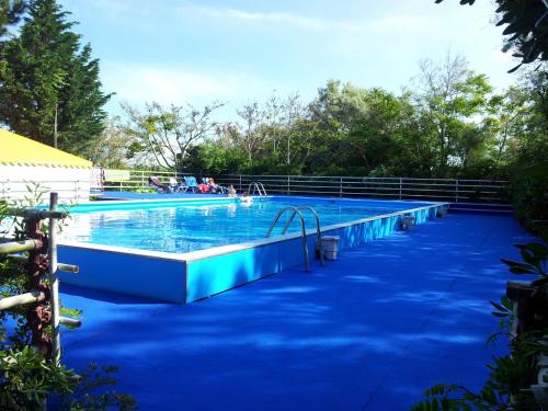 卡瓦利诺福欧德度假中心酒店的一座蓝色油漆的大型游泳池
