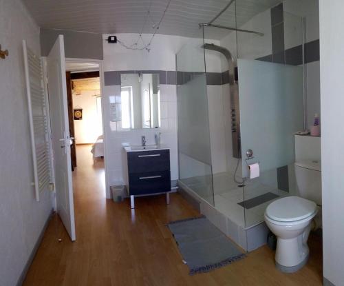 圣萨万LE POINT DU JOUR的浴室配有卫生间、淋浴和盥洗盆。