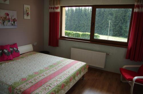 OberbrändFerienwohnung " MILA" in Schwarzwald near Titisee的一间卧室设有一张床和一个窗口